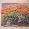 Sureda
