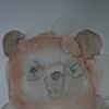 Ewok