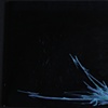 Graffiti Negro