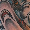 hammerhead