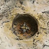 The Sisterhood  (detail 2)
