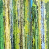 saguaro ribs I
