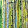 saguaro ribs V
