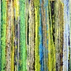 saguaro ribs IV