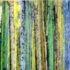 saguaro ribs VI