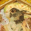 Le Lieu de la M&egrave;re Lapin