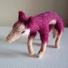 raspberry fox (8)