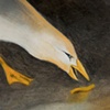 where's the ketchup? (detail)