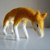 yellow fox (7)