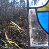 colour & light in the woods - 5