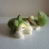 sleepy green fox (10)