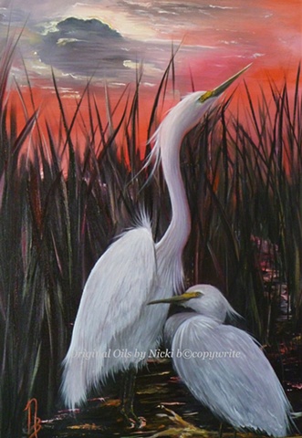 egrets