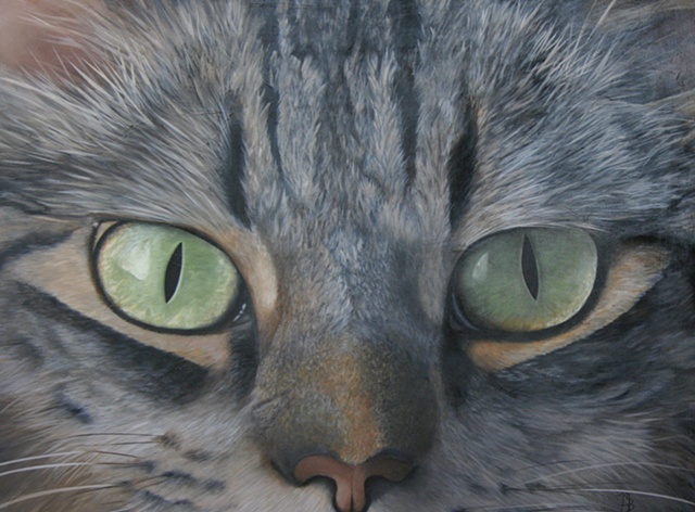Print , Cat, stunning