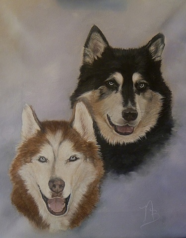 two huskies