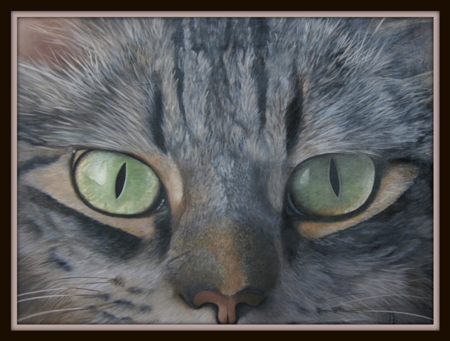 Original Oils, Big, Cat, Tiger Cat,Pet