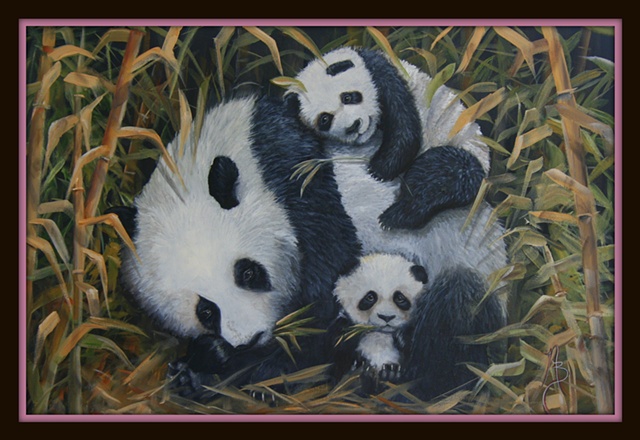 panda bears, cubs, wildlife, bamboo, original, oil 