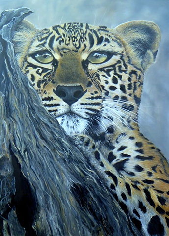 Original Oil, Nicki Bernacchi, huge, humungeous,leopard,wildlife,tree,fur,beautiful,stunning