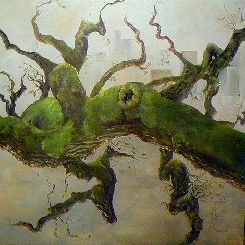 Oak tree, nature, landscape, napa,