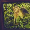 Monkey Boy