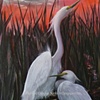 egrets