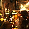 Willowpool garden centre and night stroll
