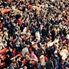 The Crowd