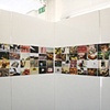 Art Foundation Final Exhibition