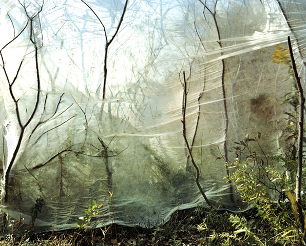 'Haven' - Work in progress