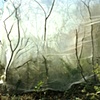 'Haven' - Work in progress