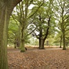 Richmond Park