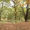 Richmond Park