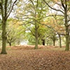 Richmond Park