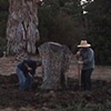 Collecting a Source