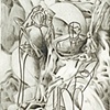 element of decay 4