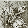 element of decay 3