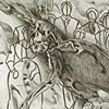 element of decay 1