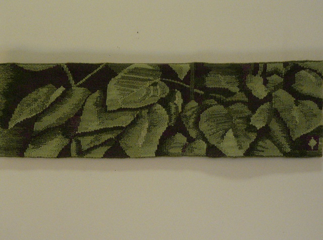 Hosta