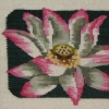 lotus series