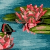 Water lilies
