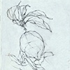 Lemon on Cloth