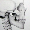 Anatomy Triptych: Skulls