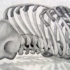 Anatomy Triptych: Torso