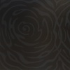Black Vortex