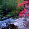 Fall in Jerome, AZ