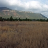 Near the Pecos River