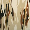 Abstract 5-22
