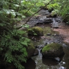 Carpenter Creek