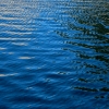 Photographic Landscapes