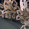 Tiaras