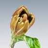 Calendula Ring